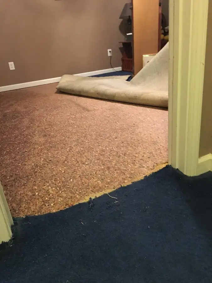 Carpet pad removal revealing water damage during Drying & Dehumidification in Elon