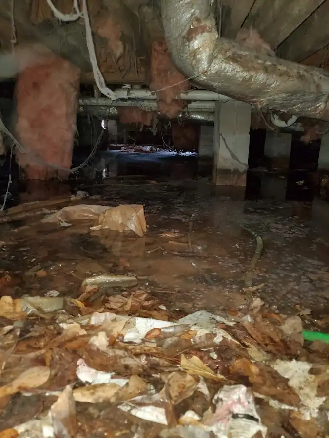 Crawl space flood assessment for Leak Detection & Repair in Elon